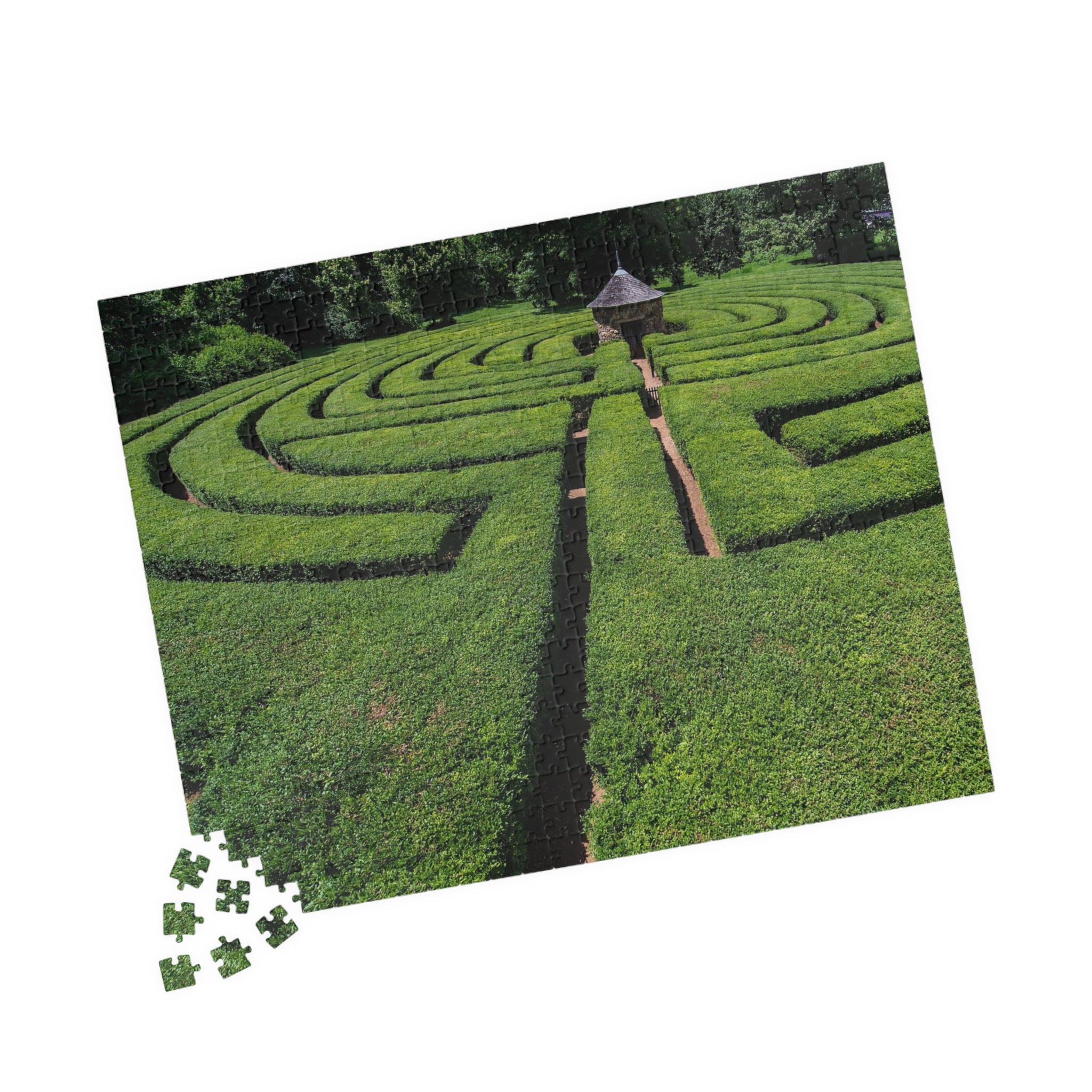 Harmonist Labyrinth Puzzle — New Harmony (110–1014 Pieces)