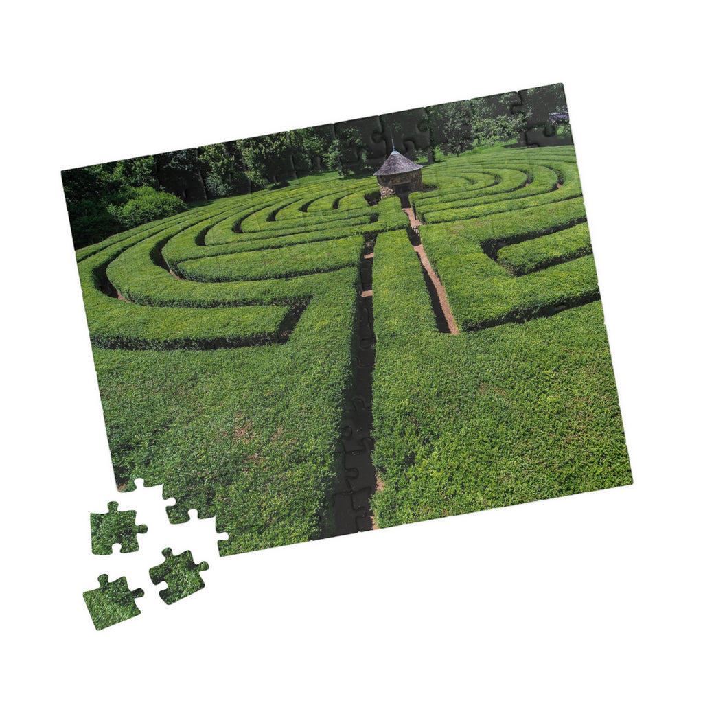Harmonist Labyrinth Puzzle — New Harmony (110–1014 Pieces)