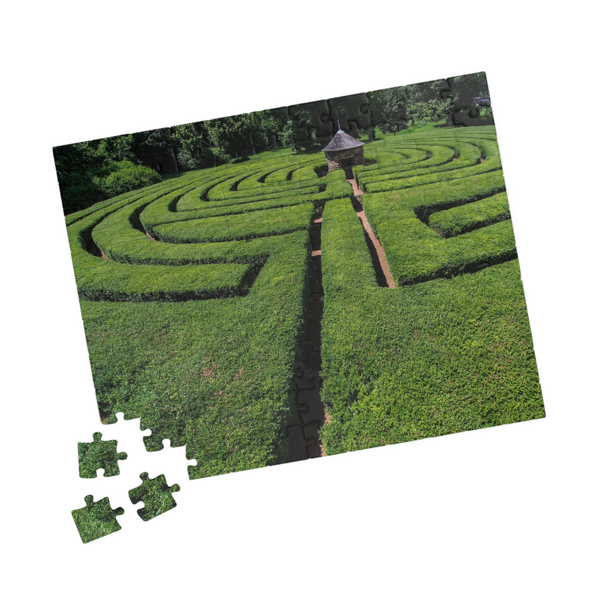 Harmonist Labyrinth Puzzle — New Harmony (110–1014 Pieces)