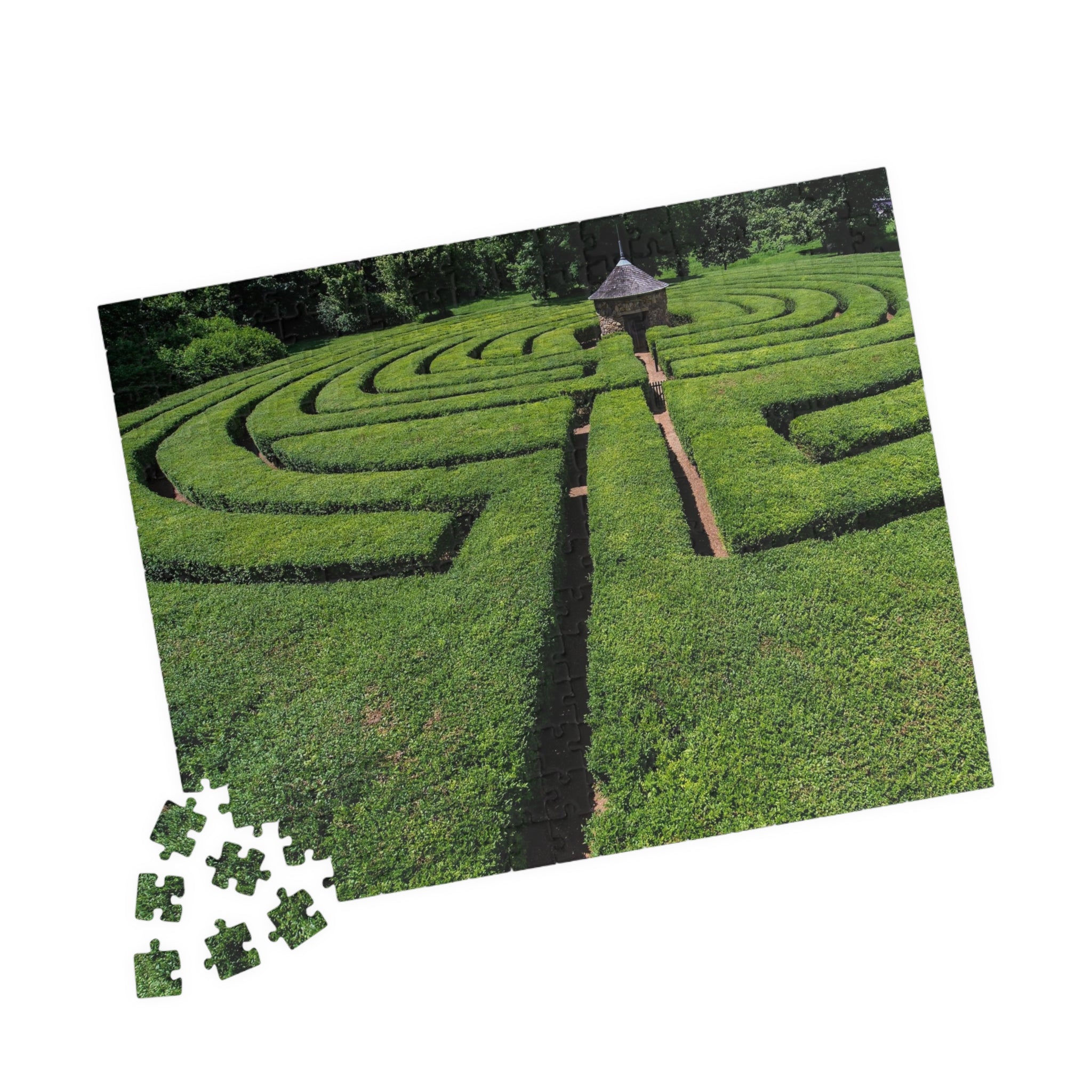 Harmonist Labyrinth Puzzle — New Harmony (110–1014 Pieces)