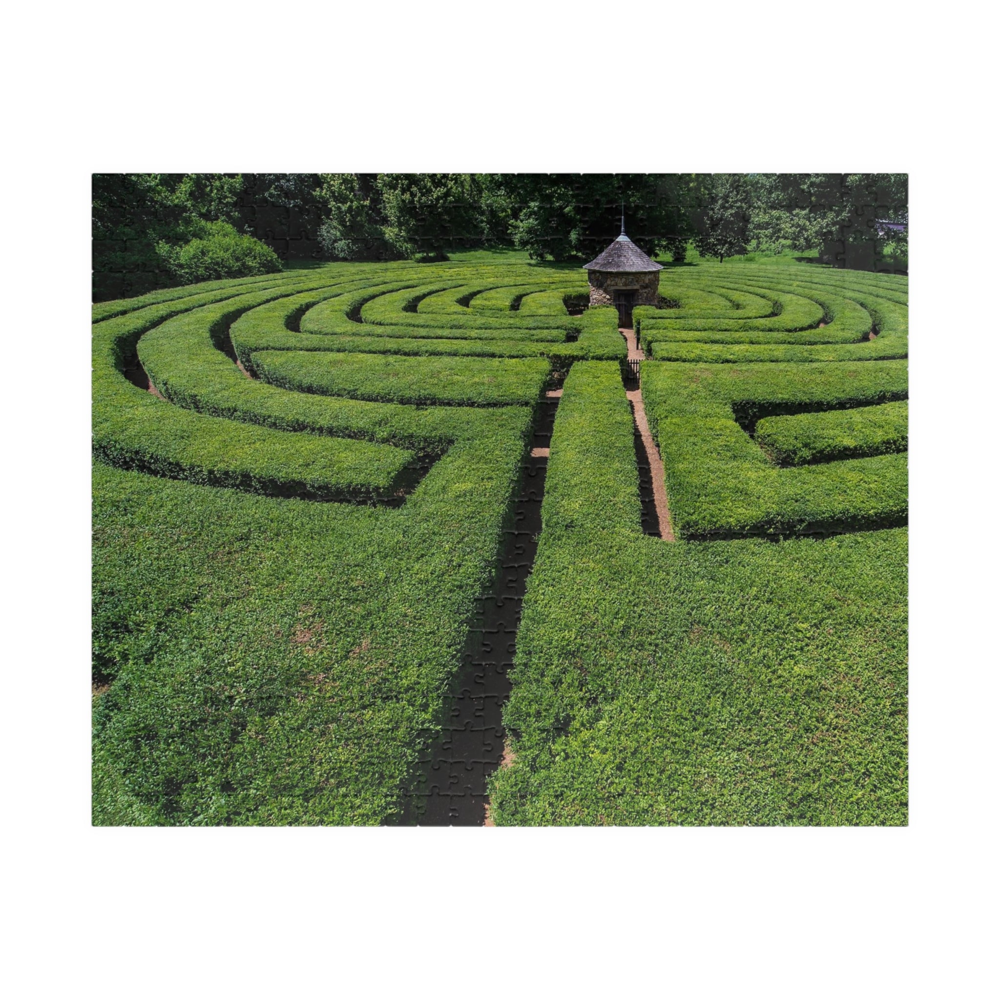 Harmonist Labyrinth Puzzle — New Harmony (110–1014 Pieces)
