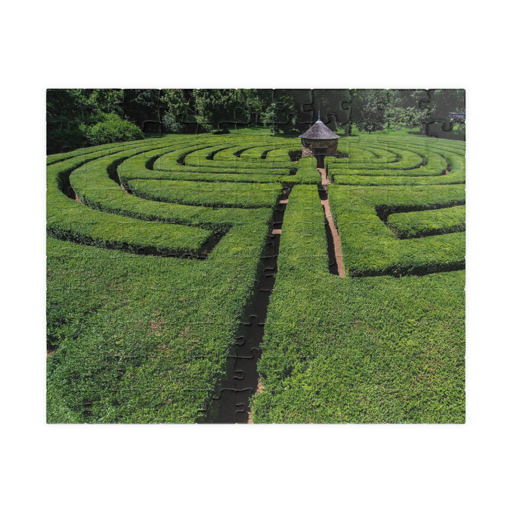 Harmonist Labyrinth Puzzle — New Harmony (110–1014 Pieces)