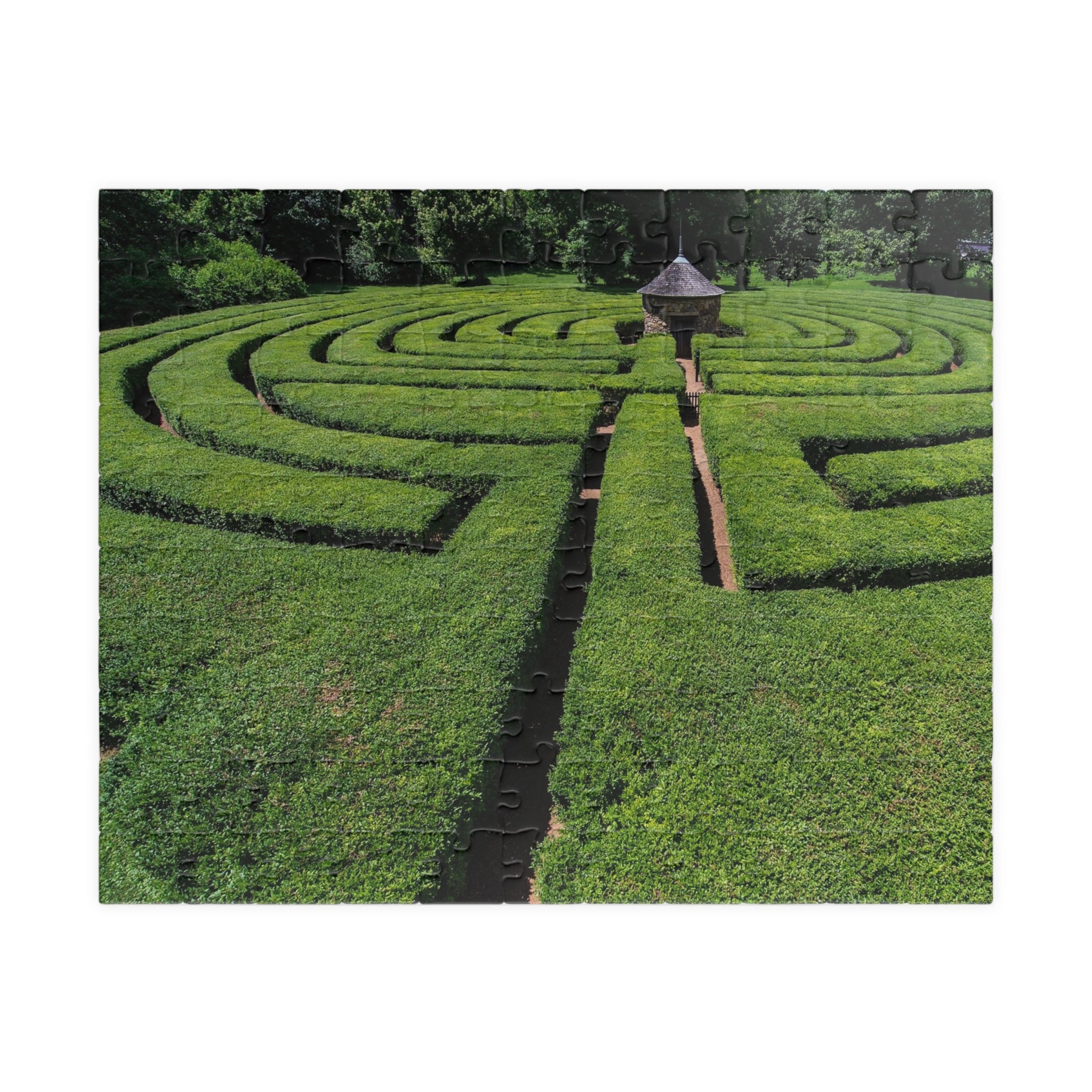 Harmonist Labyrinth Puzzle — New Harmony (110–1014 Pieces)
