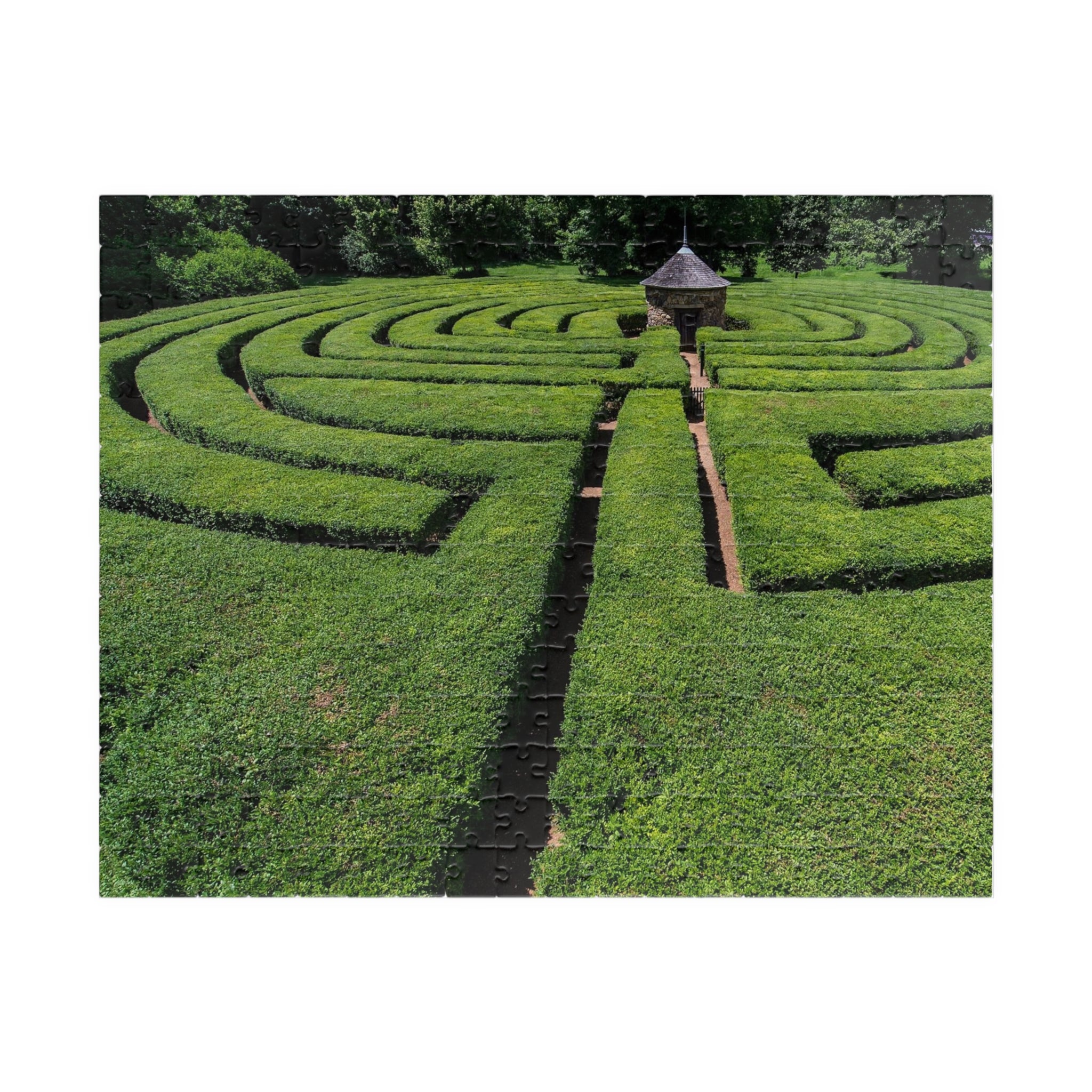 Harmonist Labyrinth Puzzle — New Harmony (110–1014 Pieces)